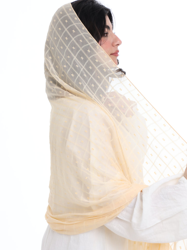 GR01_02 شيله مطرزة بيج عريضة